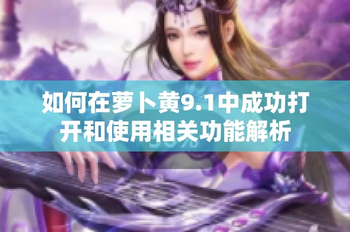 如何在萝卜黄9.1中成功打开和使用相关功能解析