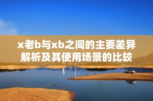 x老b与xb之间的主要差异解析及其使用场景的比较