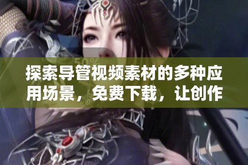 探索导管视频素材的多种应用场景，免费下载，让创作更加轻松！