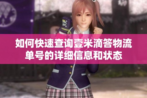 如何快速查询壹米滴答物流单号的详细信息和状态