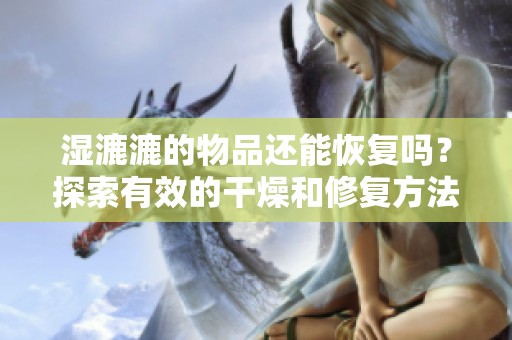 湿漉漉的物品还能恢复吗？探索有效的干燥和修复方法