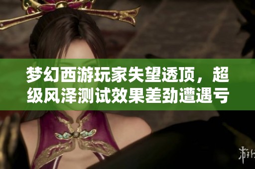 梦幻西游玩家失望透顶，超级风泽测试效果差劲遭遇亏损