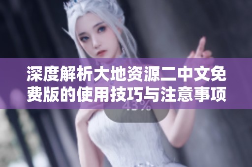 深度解析大地资源二中文免费版的使用技巧与注意事项