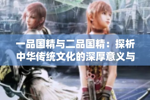 一品国精与二品国精：探析中华传统文化的深厚意义与内涵