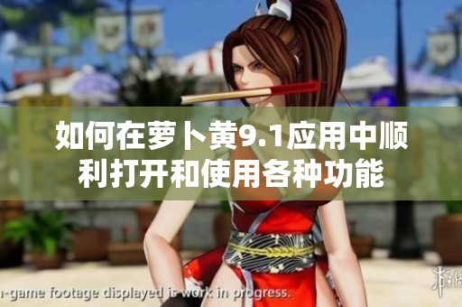 如何在萝卜黄9.1应用中顺利打开和使用各种功能