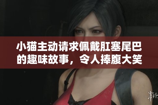 小猫主动请求佩戴肛塞尾巴的趣味故事，令人捧腹大笑