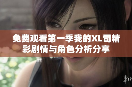 免费观看第一季我的XL司精彩剧情与角色分析分享