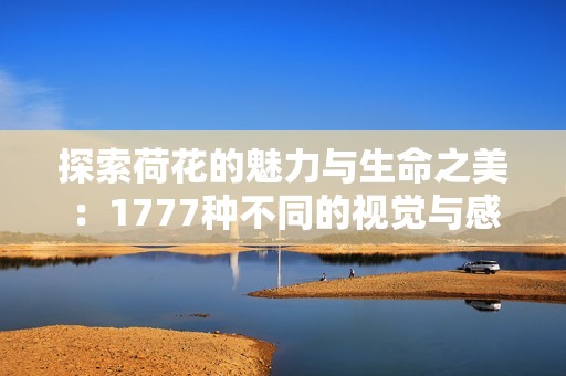 探索荷花的魅力与生命之美：1777种不同的视觉与感受