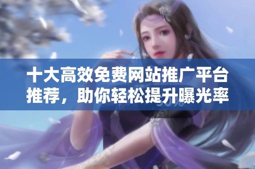 十大高效免费网站推广平台推荐，助你轻松提升曝光率与用户流量