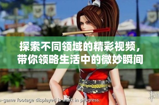 探索不同领域的精彩视频，带你领略生活中的微妙瞬间与感动时刻