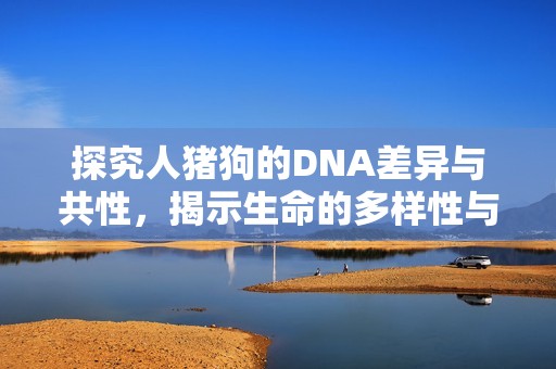 探究人猪狗的DNA差异与共性，揭示生命的多样性与进化之谜
