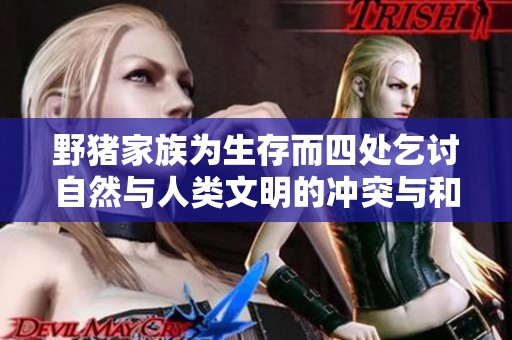 野猪家族为生存而四处乞讨自然与人类文明的冲突与和谐