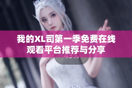 我的XL司第一季免费在线观看平台推荐与分享