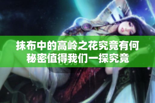 抹布中的高岭之花究竟有何秘密值得我们一探究竟
