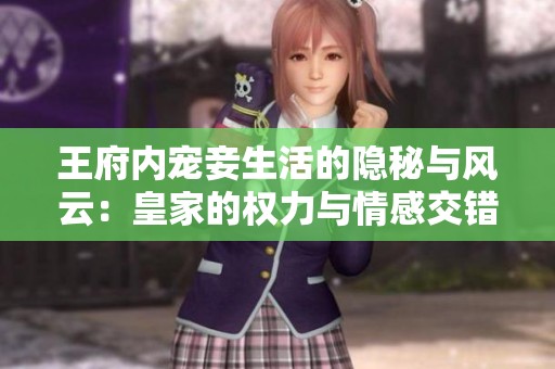 王府内宠妾生活的隐秘与风云：皇家的权力与情感交错探秘