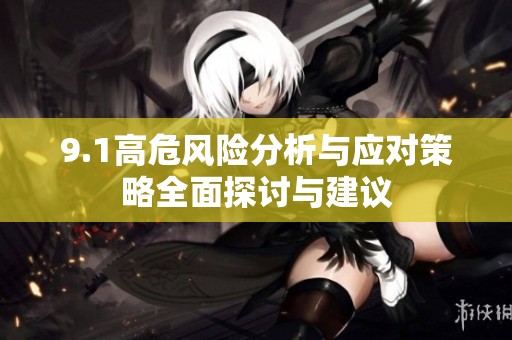 9.1高危风险分析与应对策略全面探讨与建议