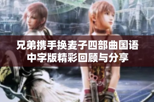 兄弟携手换麦子四部曲国语中字版精彩回顾与分享
