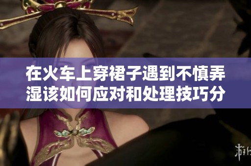 在火车上穿裙子遇到不慎弄湿该如何应对和处理技巧分享