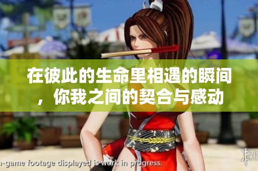 在彼此的生命里相遇的瞬间，你我之间的契合与感动