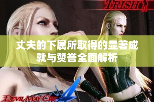 丈夫的下属所取得的显著成就与赞誉全面解析
