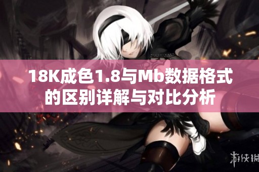 18K成色1.8与Mb数据格式的区别详解与对比分析
