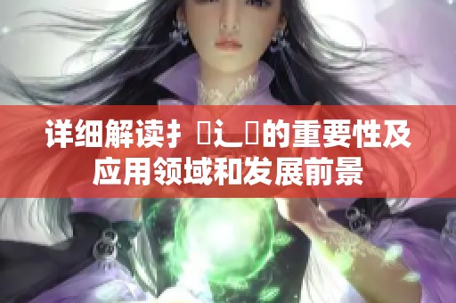 详细解读扌喿辶畐的重要性及应用领域和发展前景