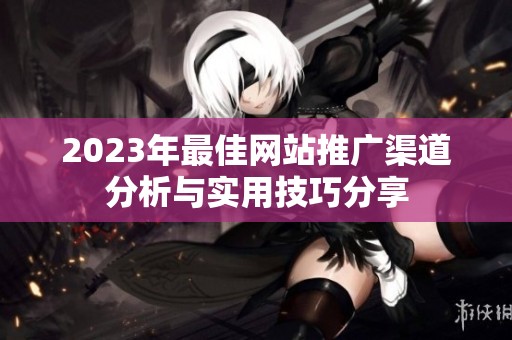 2023年最佳网站推广渠道分析与实用技巧分享