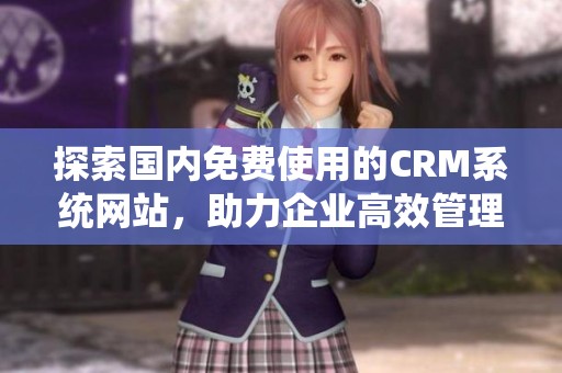 探索国内免费使用的CRM系统网站，助力企业高效管理客户资源