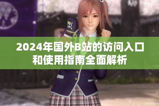 2024年国外B站的访问入口和使用指南全面解析