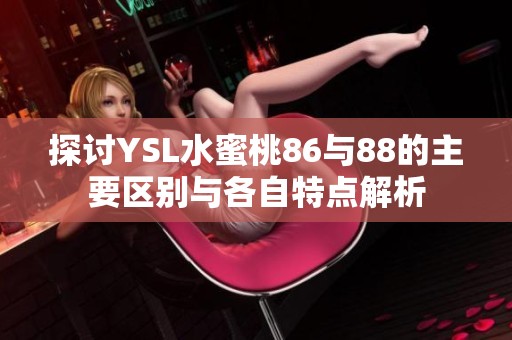 探讨YSL水蜜桃86与88的主要区别与各自特点解析
