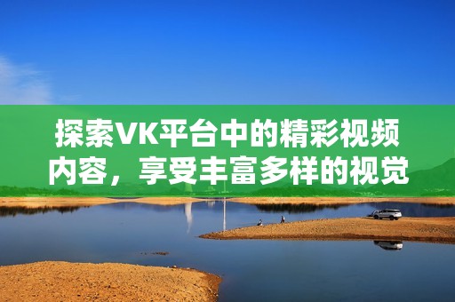 探索VK平台中的精彩视频内容，享受丰富多样的视觉盛宴