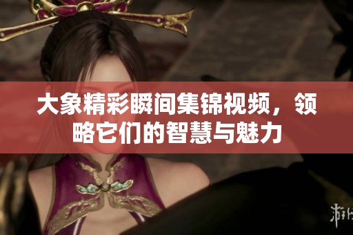 大象精彩瞬间集锦视频，领略它们的智慧与魅力