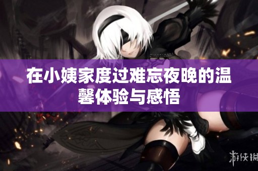在小姨家度过难忘夜晚的温馨体验与感悟