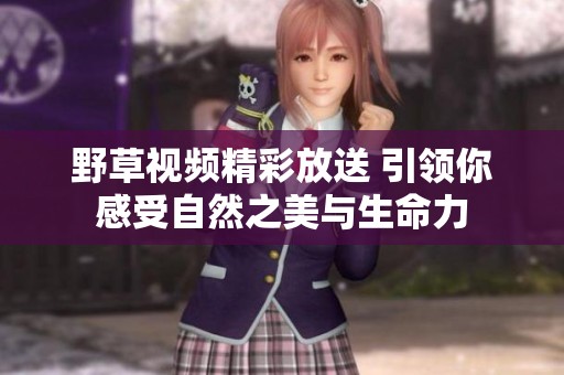 野草视频精彩放送 引领你感受自然之美与生命力
