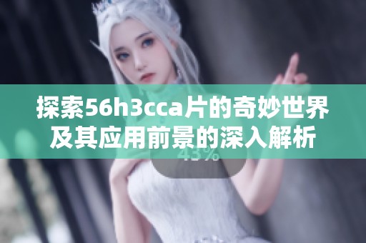 探索56h3cca片的奇妙世界及其应用前景的深入解析