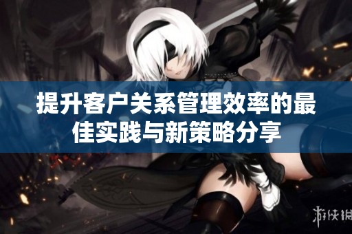 提升客户关系管理效率的最佳实践与新策略分享
