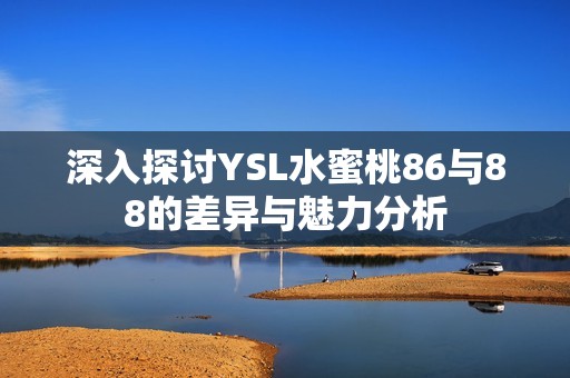 深入探讨YSL水蜜桃86与88的差异与魅力分析
