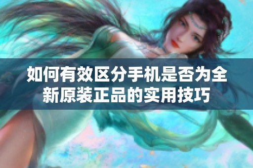如何有效区分手机是否为全新原装正品的实用技巧