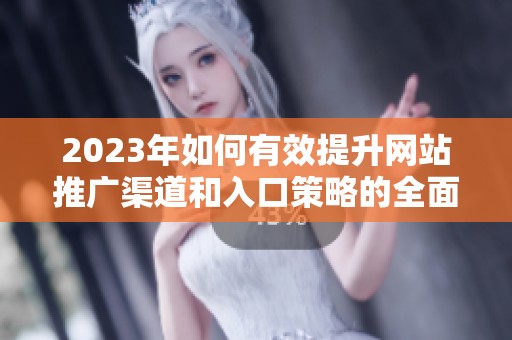 2023年如何有效提升网站推广渠道和入口策略的全面指导