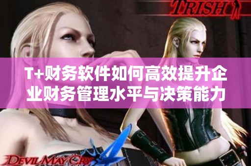 T+财务软件如何高效提升企业财务管理水平与决策能力