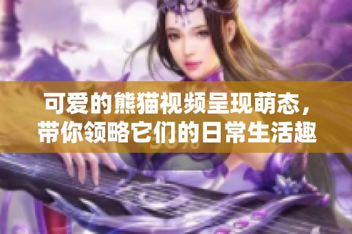 可爱的熊猫视频呈现萌态，带你领略它们的日常生活趣事