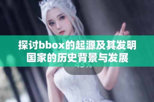 探讨bbox的起源及其发明国家的历史背景与发展
