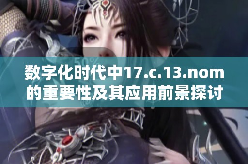 数字化时代中17.c.13.nom的重要性及其应用前景探讨